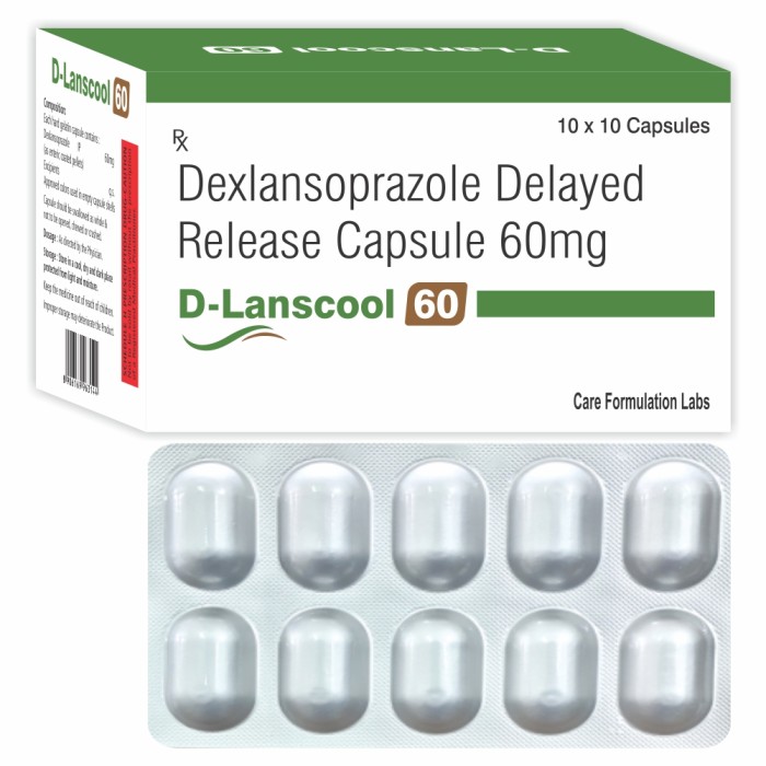 D-LANSCOOL 60 D-LANSCOOL 60