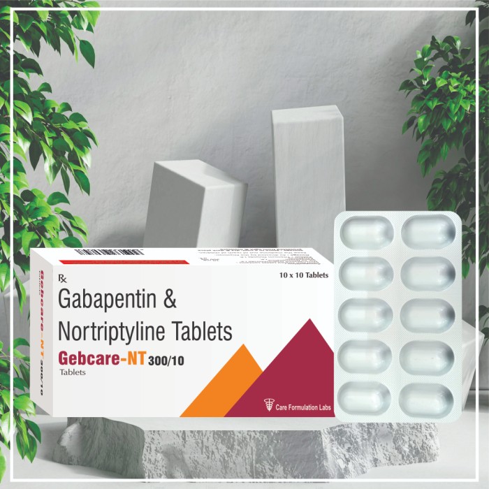 GEBCARE-NT 300/10 GEBCARE-NT 300/10
