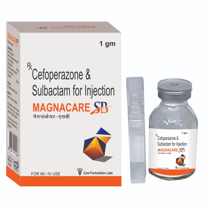 MAGNACARE SB 1GM INJECTION MAGNACARE SB 1GM INJECTION
